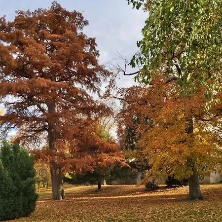 Apartamento Elisabeth - Parkblick - Am Buhl'schen Park 40 - Zentrumsnah