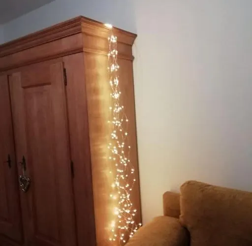 公寓 Elisabeth - Parkblick - Am Buhl'schen Park 40 - Zentrumsnah *