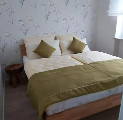 公寓 Elisabeth - Parkblick - Am Buhl'schen Park 40 - Zentrumsnah 代德斯海姆