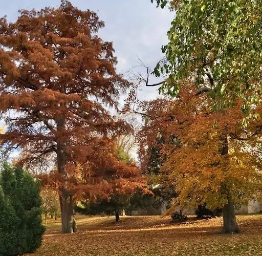 公寓 Elisabeth - Parkblick - Am Buhl'schen Park 40 - Zentrumsnah