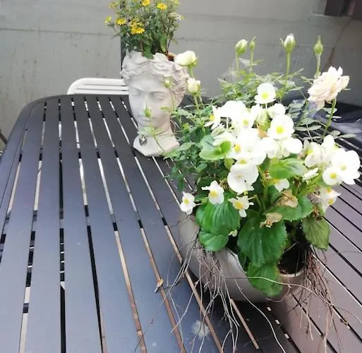 Elisabeth - Parkblick - Am Buhl'schen Park 40 - Zentrumsnah 公寓 代德斯海姆