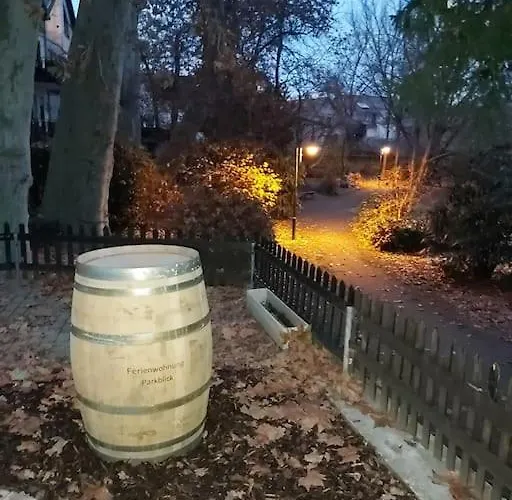 公寓 Elisabeth - Parkblick - Am Buhl'schen Park 40 - Zentrumsnah *