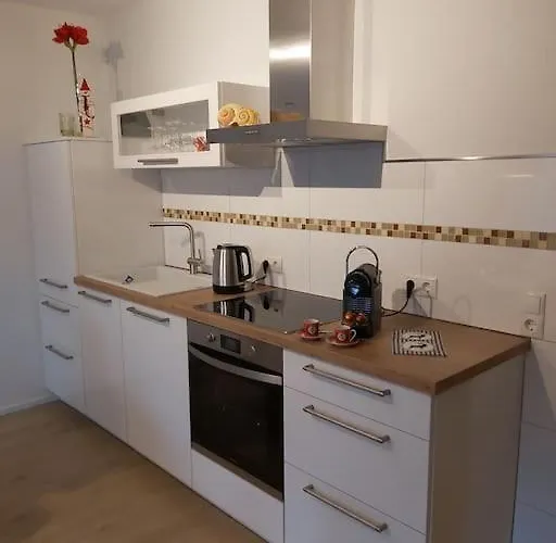 Elisabeth - Parkblick - Am Buhl'schen Park 40 - Zentrumsnah 公寓 *