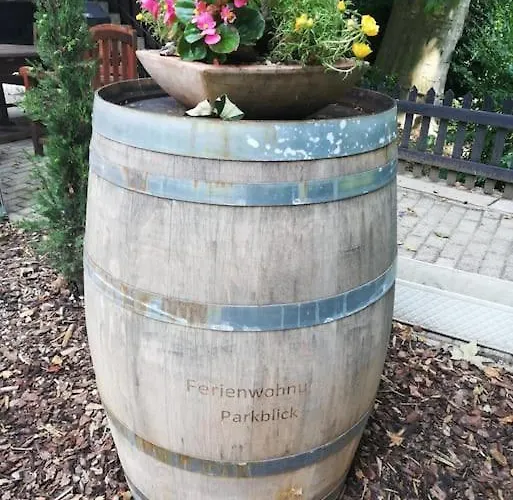 Elisabeth - Parkblick - Am Buhl'schen Park 40 - Zentrumsnah 代德斯海姆