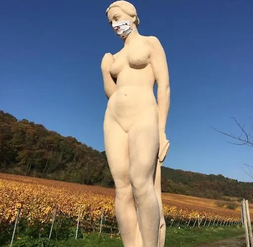 公寓 Elisabeth - Parkblick - Am Buhl'schen Park 40 - Zentrumsnah 代德斯海姆